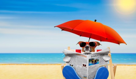URLAUB MIT HUND